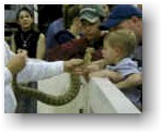 Sweetwater Rattlesnake Roundup