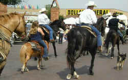 Polka Cowboys in the Ennis Parade