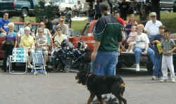 Another boy and his dog in the parade
