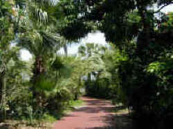 Moody Gardens Botanical Garden