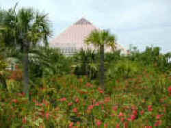 Moody Gardens Discovery Pyramid