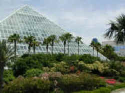 Moody Gardens Rain Forest Pyramid