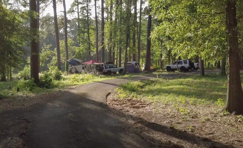 A tranquil campsite nestled within a lush forest