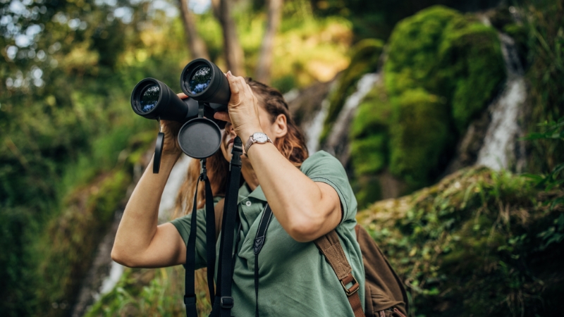 A hiker uses binoculars to spot wildlife near a mossy trail, equipped with a backpack and outdoor gear