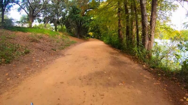 Shaded walking trail running through trees along the shoreline of Lake Austin